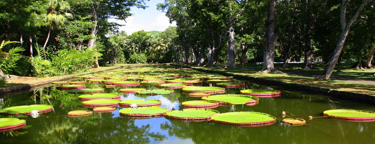 Mauritius